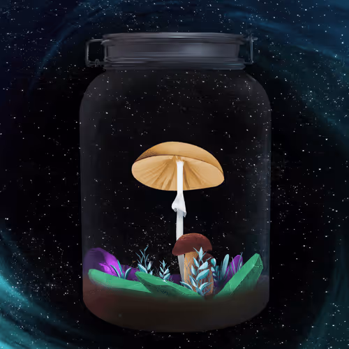 Mushroom #2502