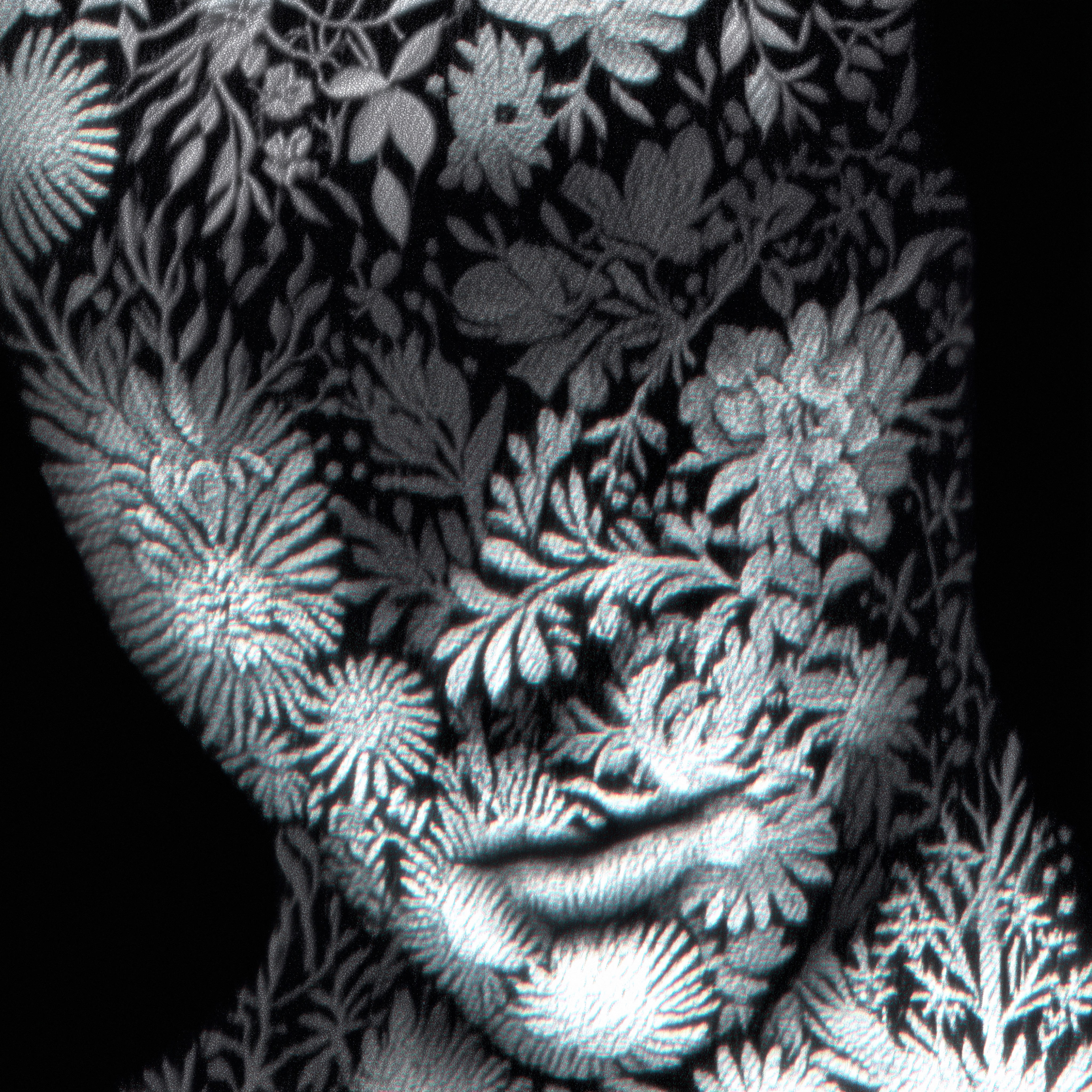 The Memory Of Skin