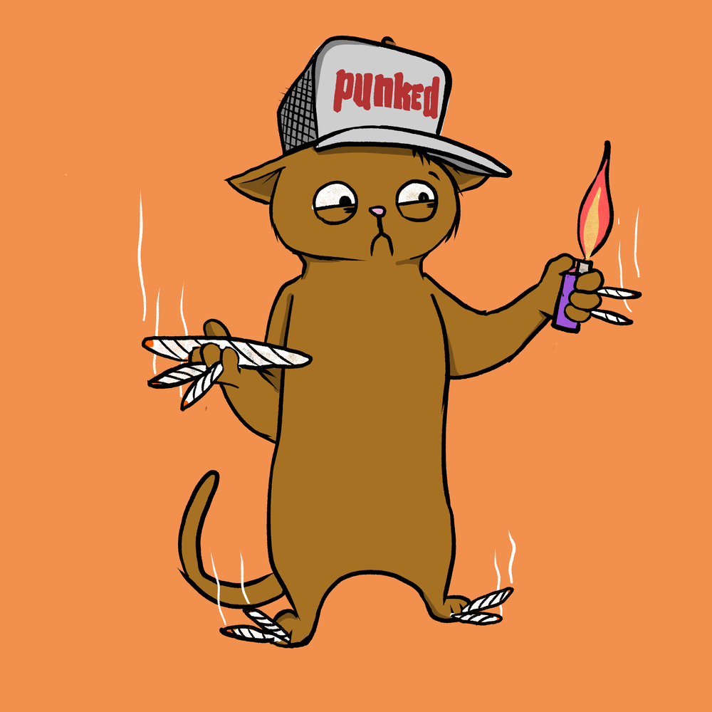Blazed Cat #8180
