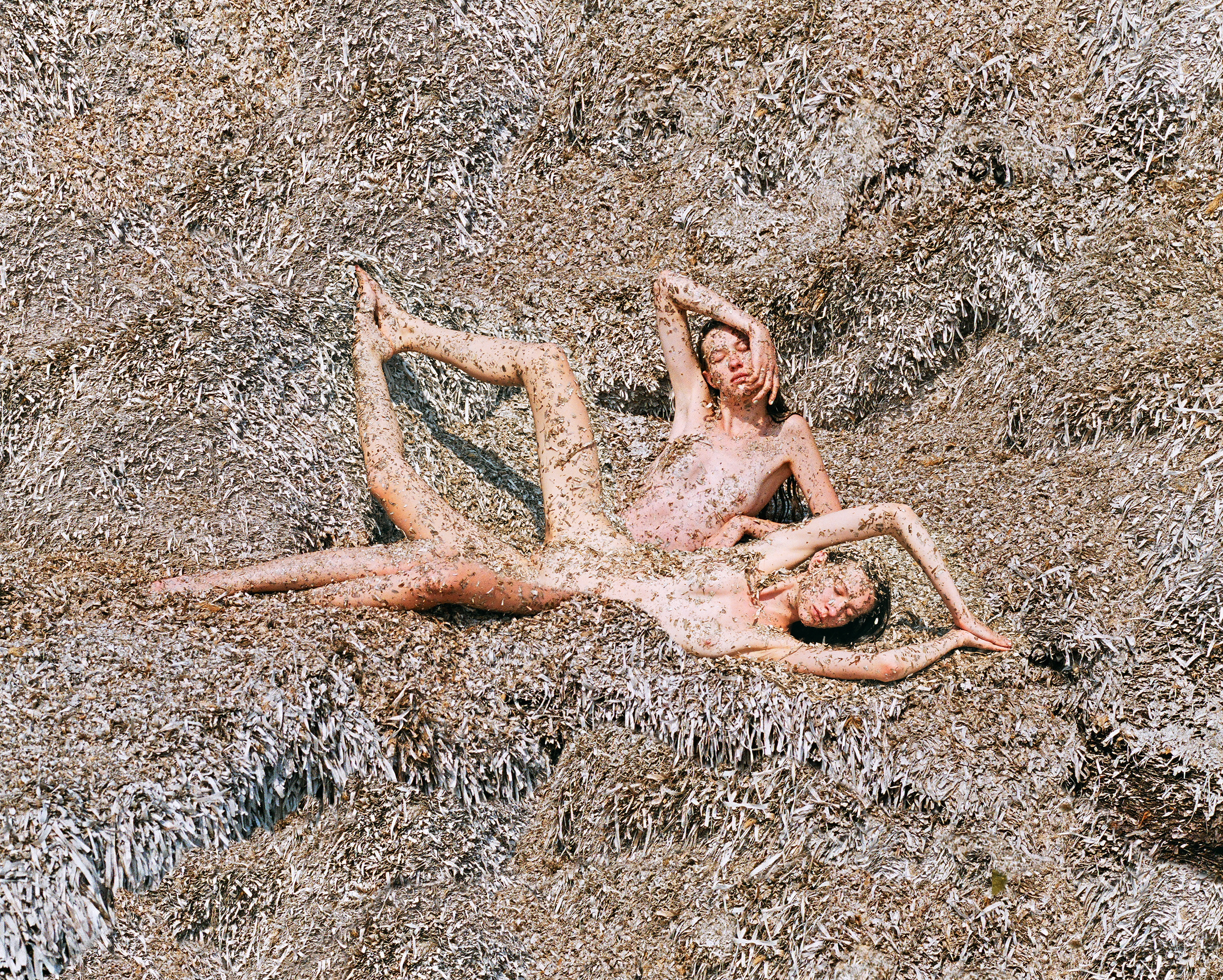 Nature Twins #1