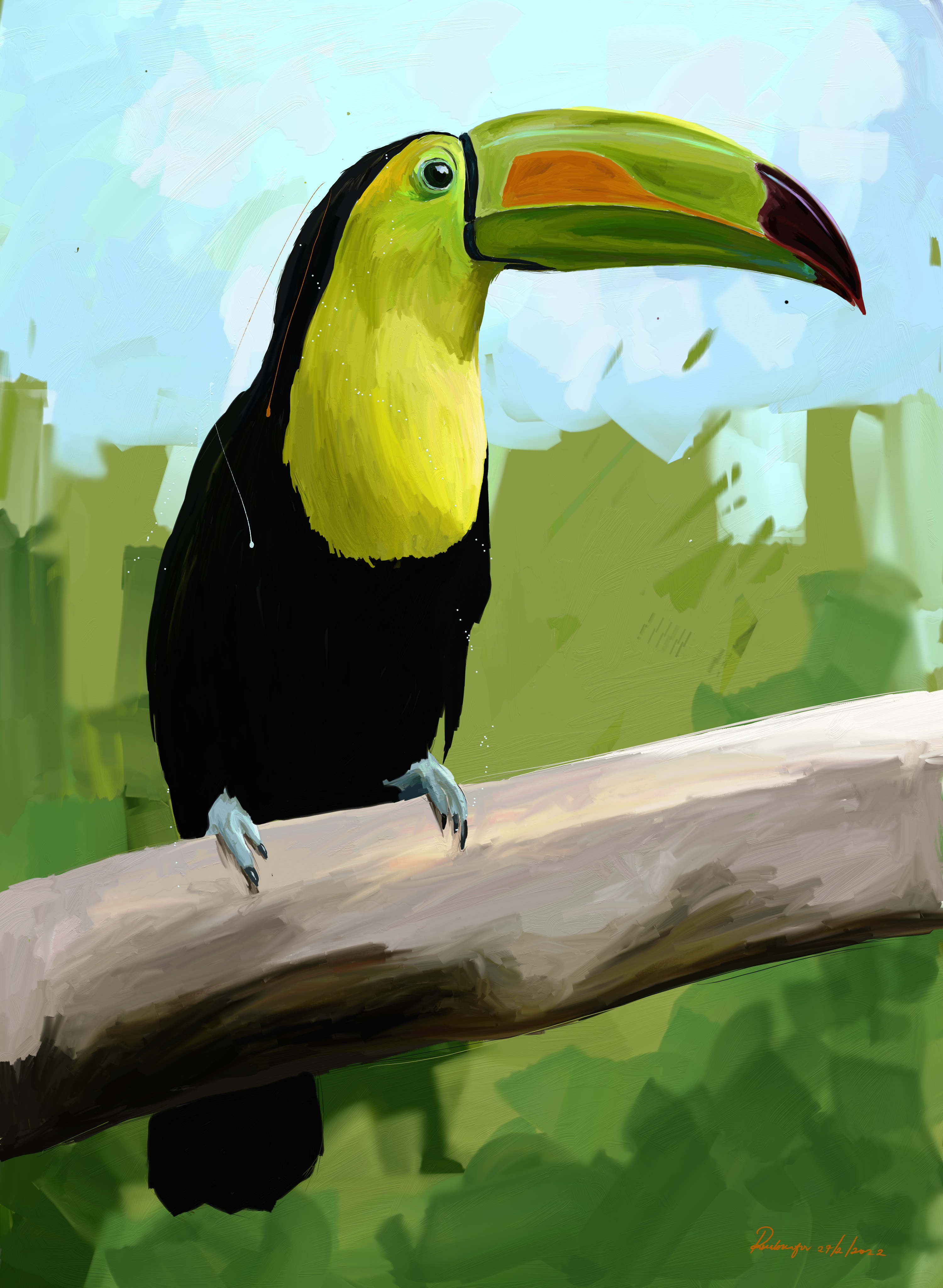 Toucan