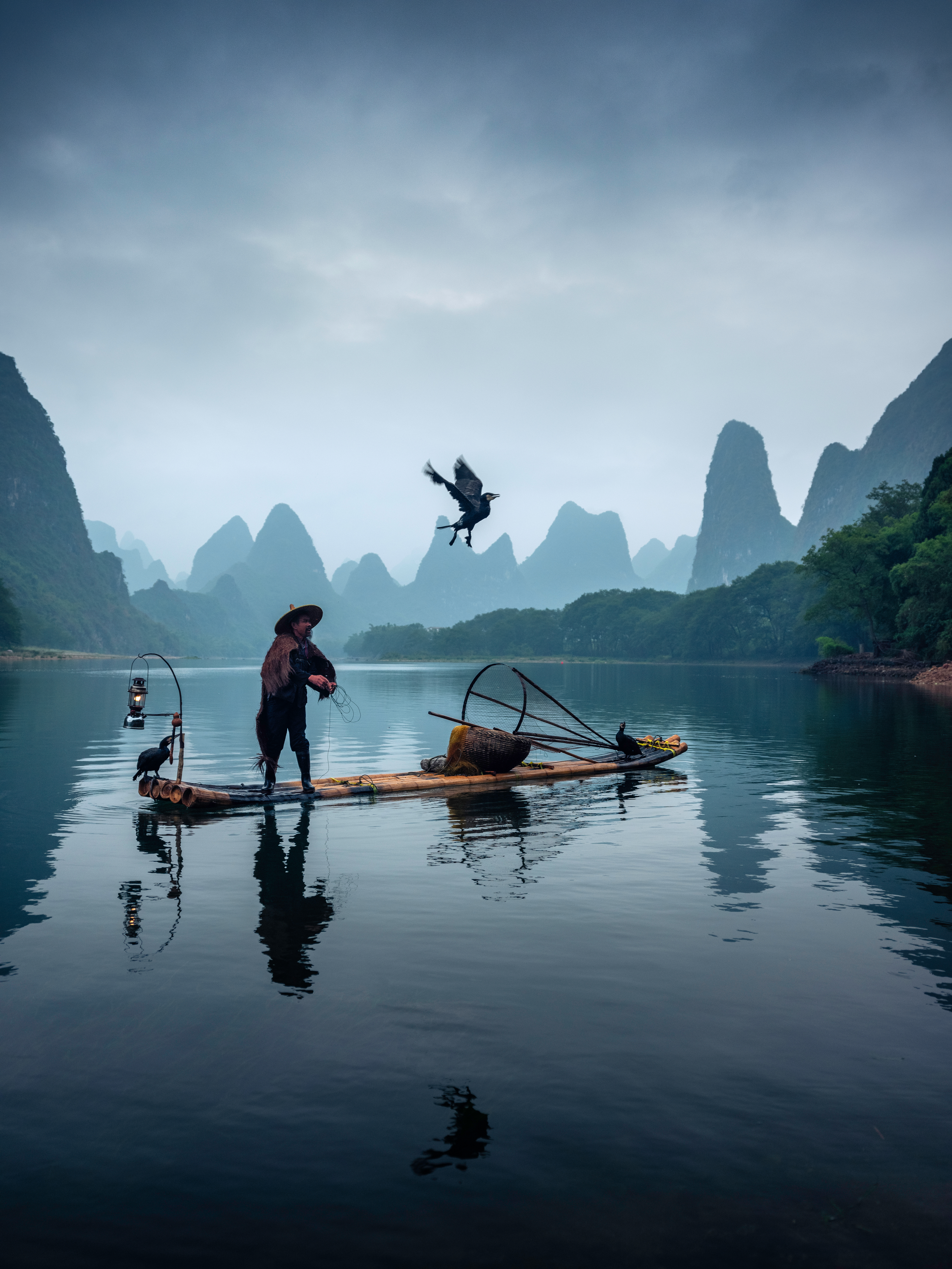 The Master and the Cormorants III