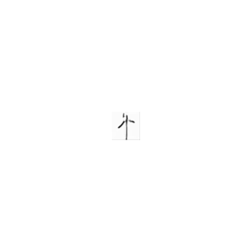 个_(individual) _ 出_out