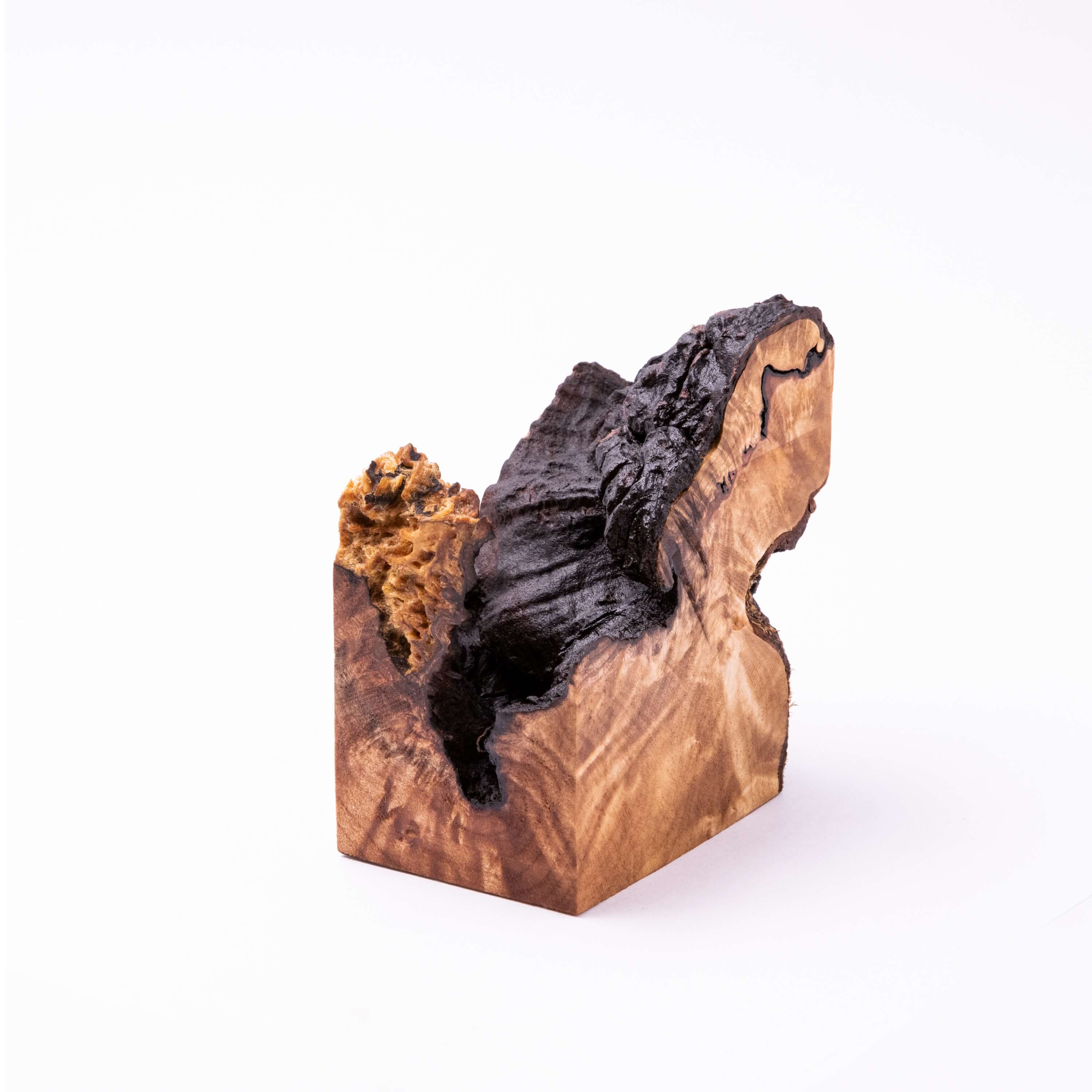 Non FungiBurl #18