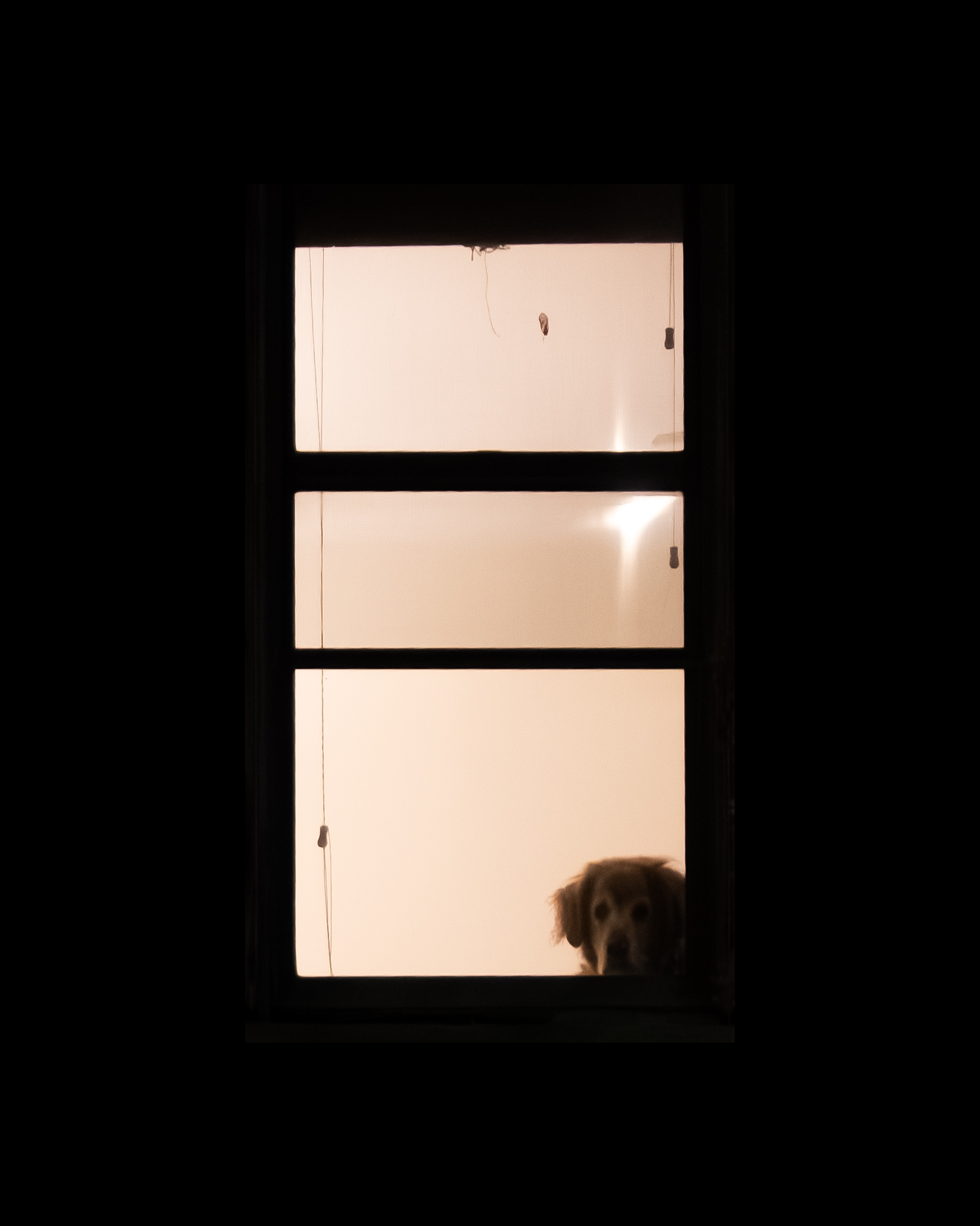 WINDOW 20
