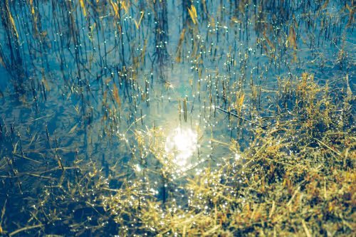 Dreamy days #05