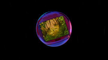 Forest Transmission #24