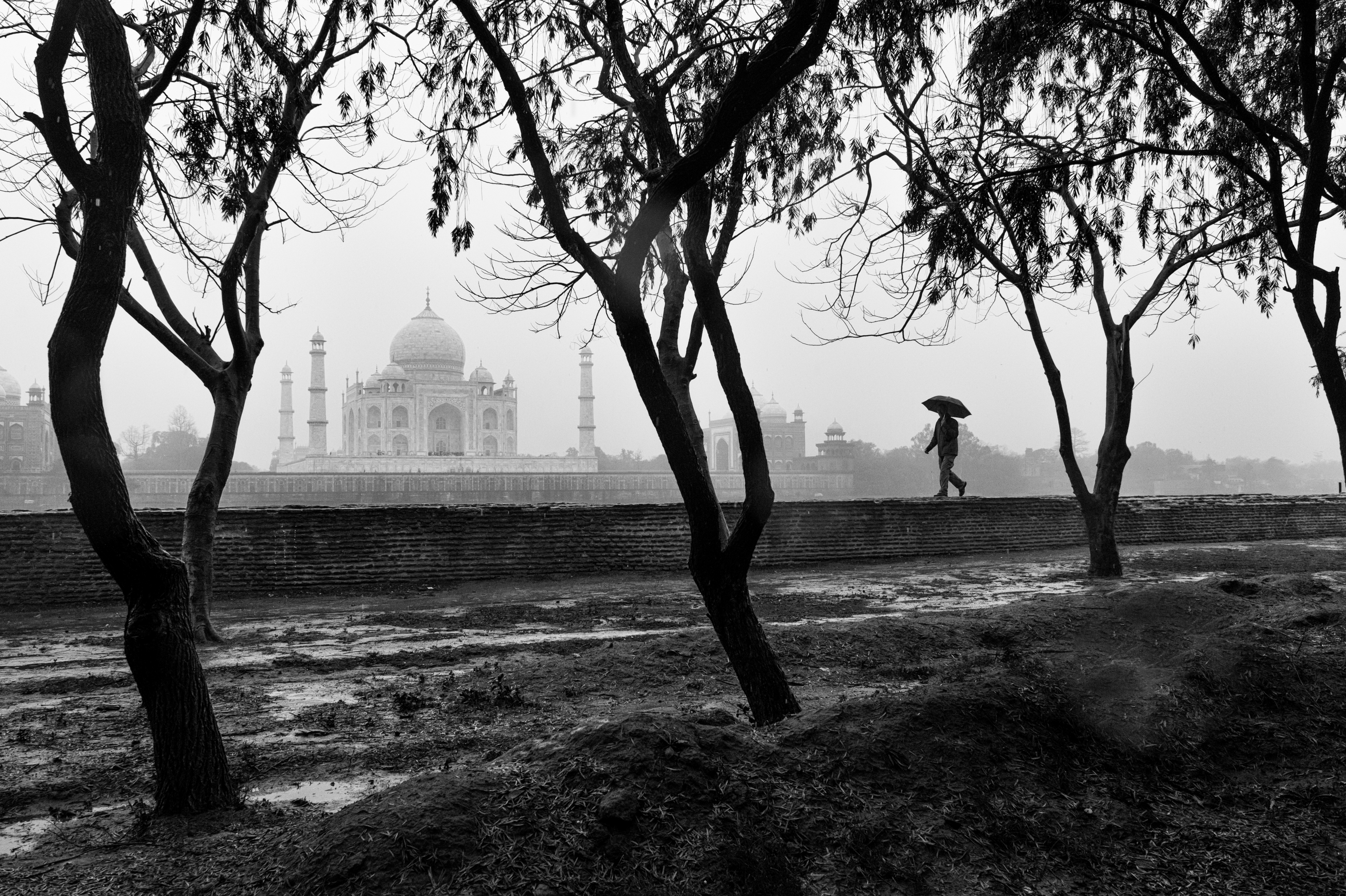 Subodh Shetty Editions - TIMELESS