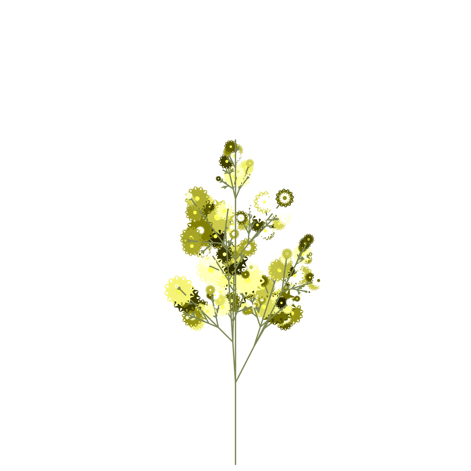 Urban Gilliflower