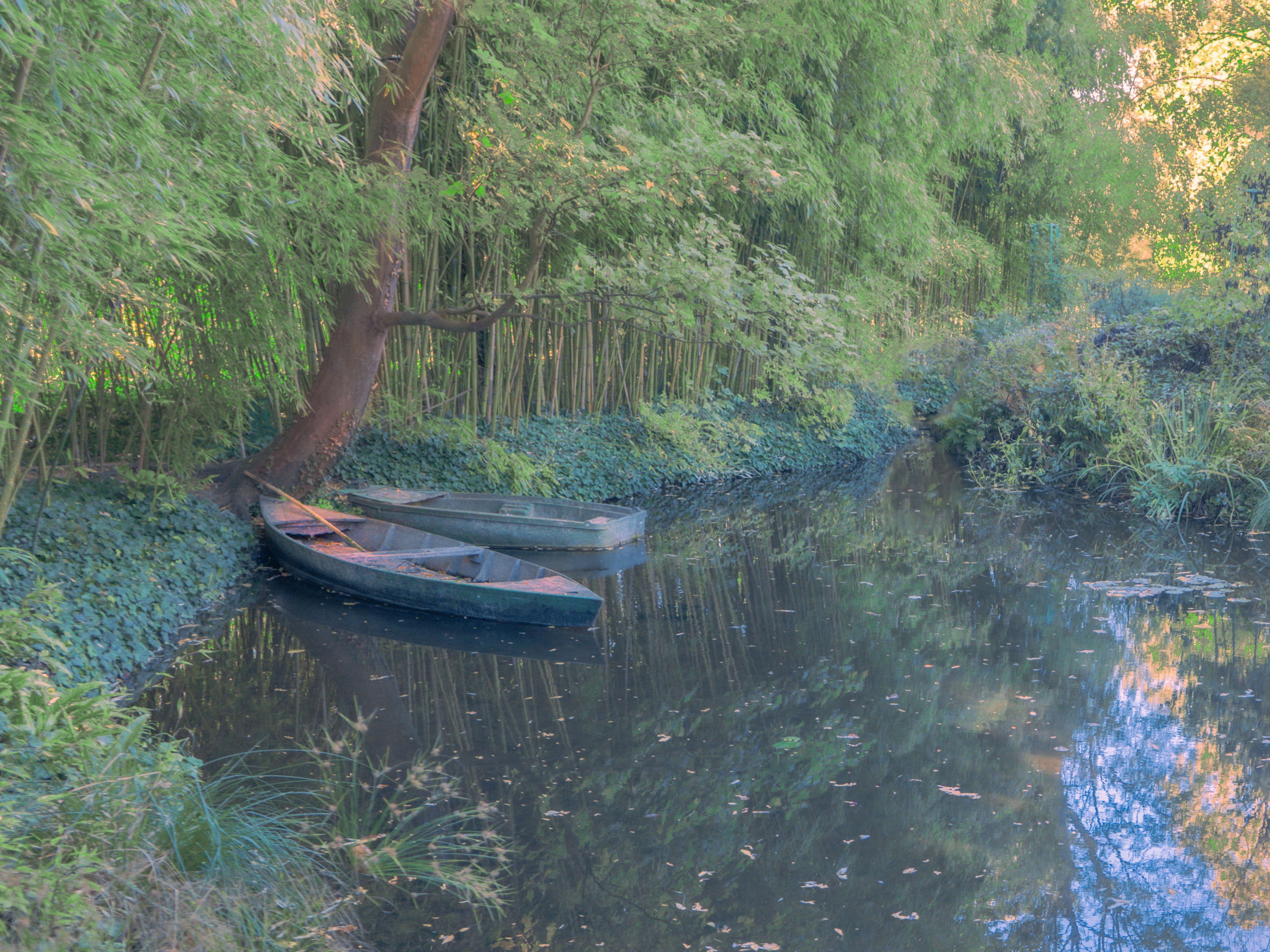 Two boats on the lake