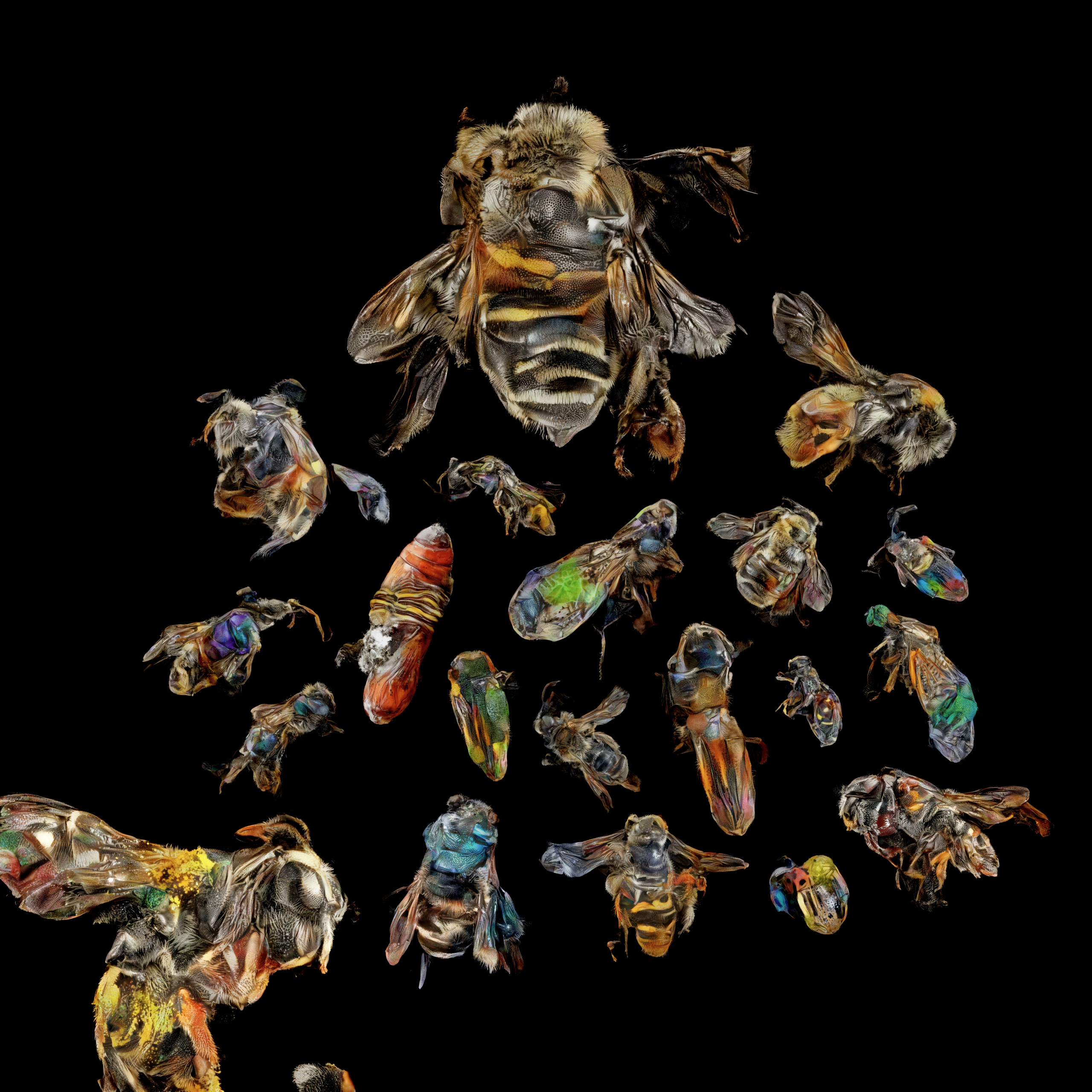 neural swarm #28