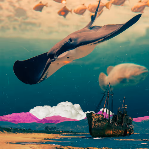 The Swell #48