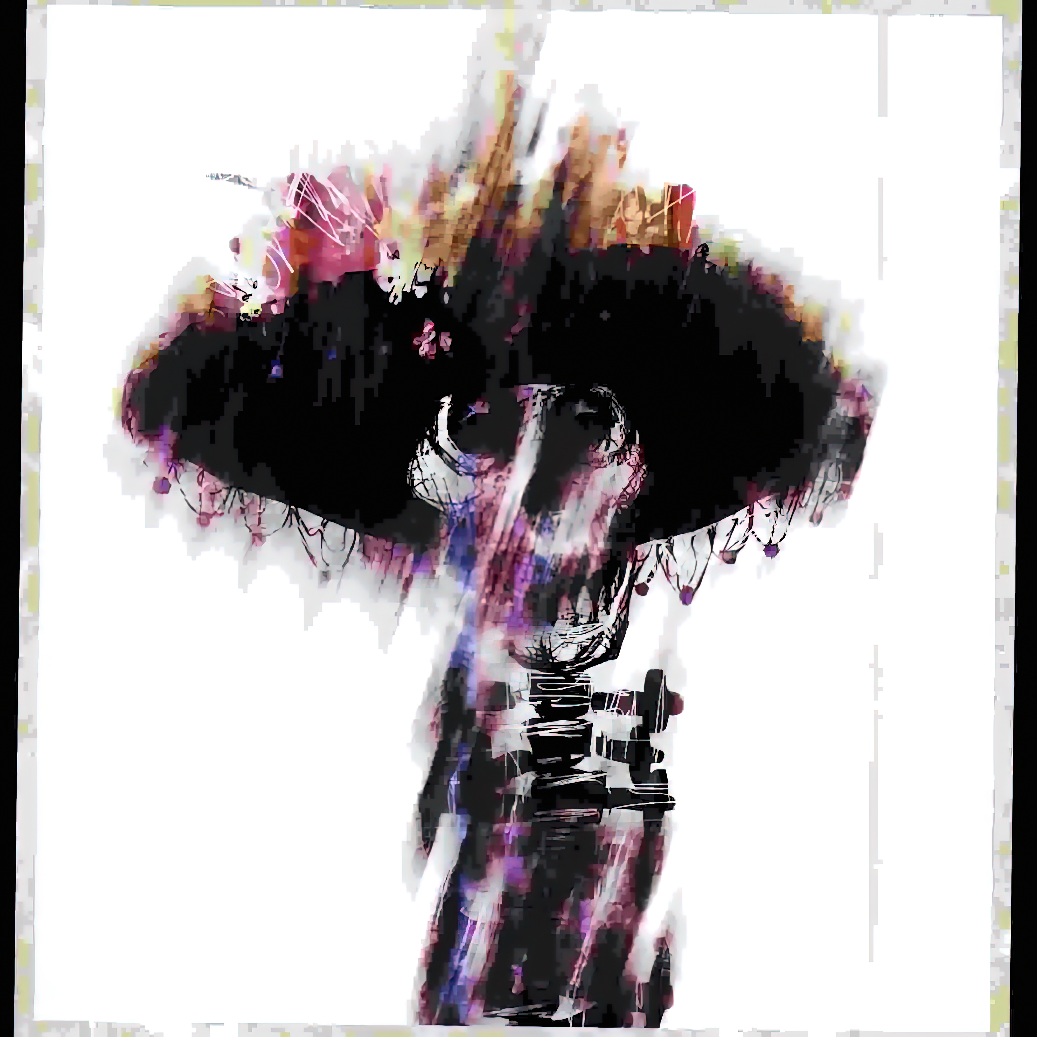 Day of The Dead: Catrina 5