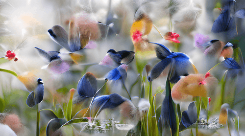 "Pretty...Pretty...Pretty Garden."