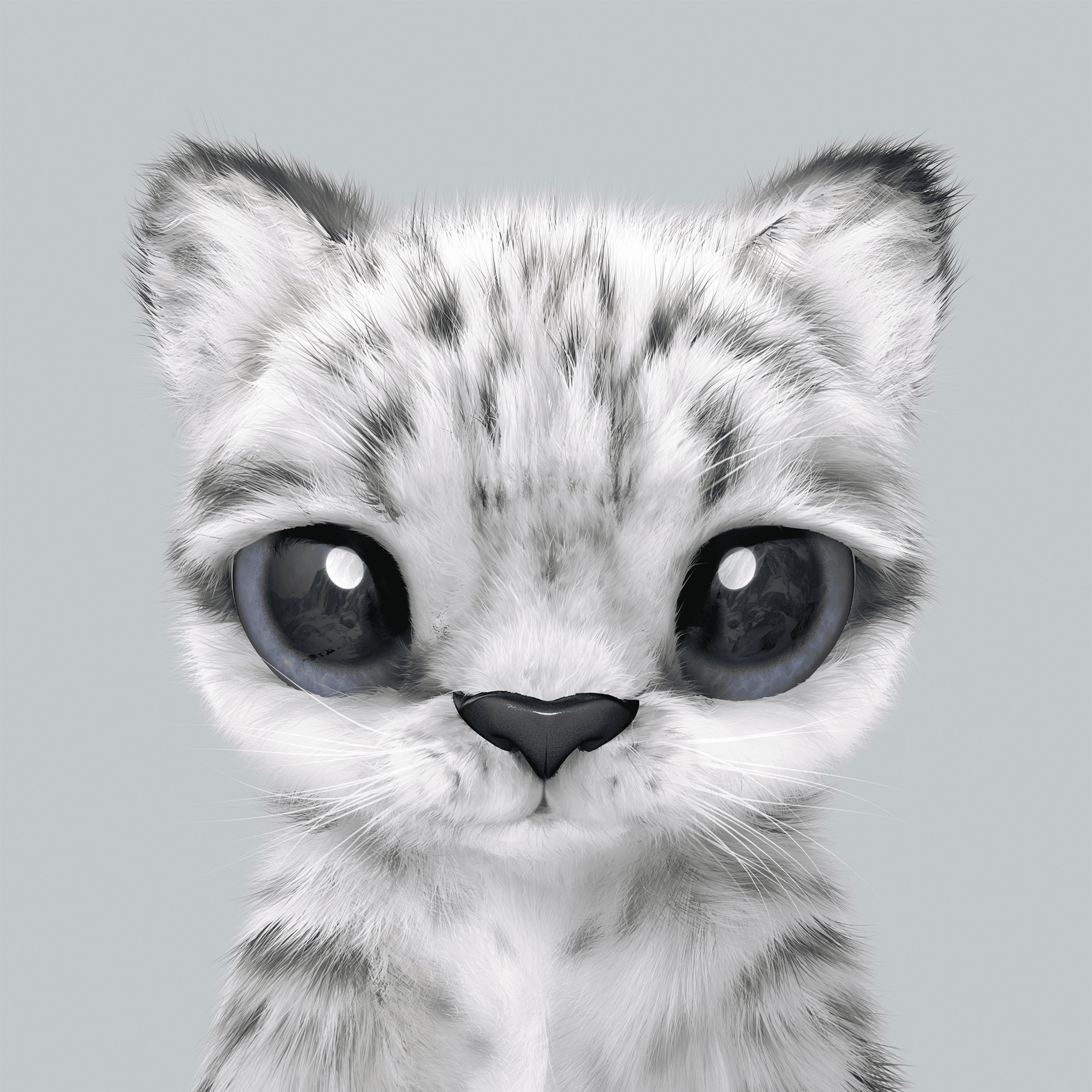 #104 Yungki the Snow Leopard