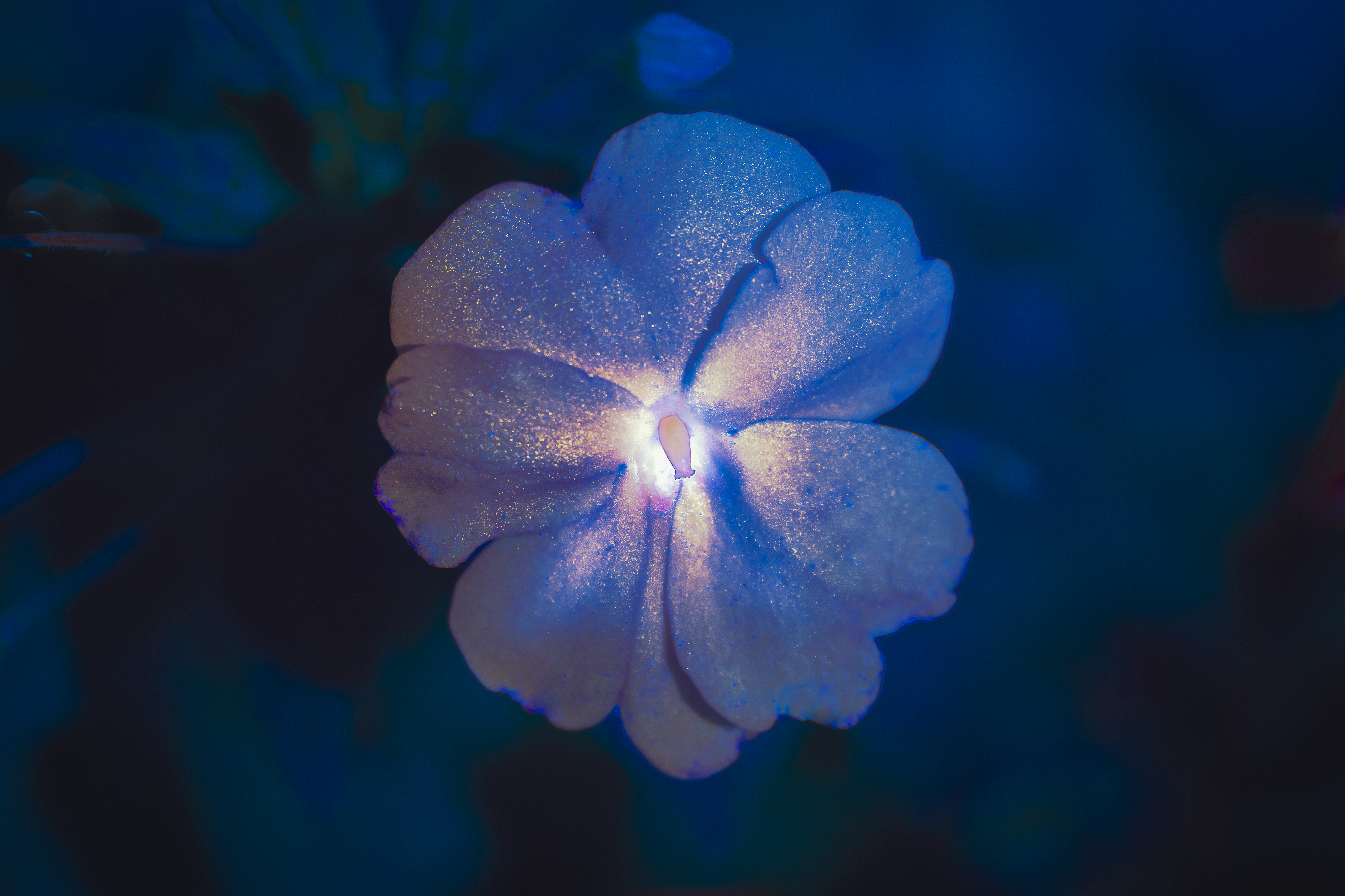 GLIMMER