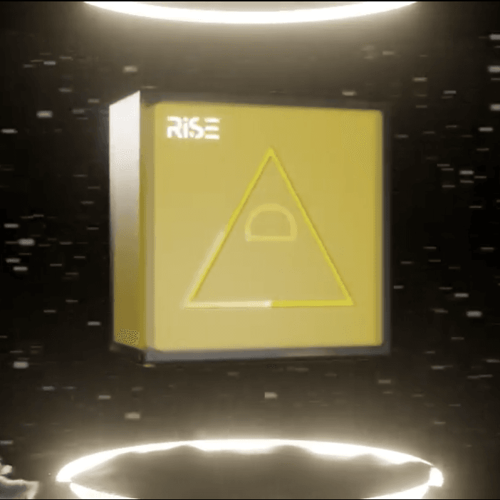 Y_RISE