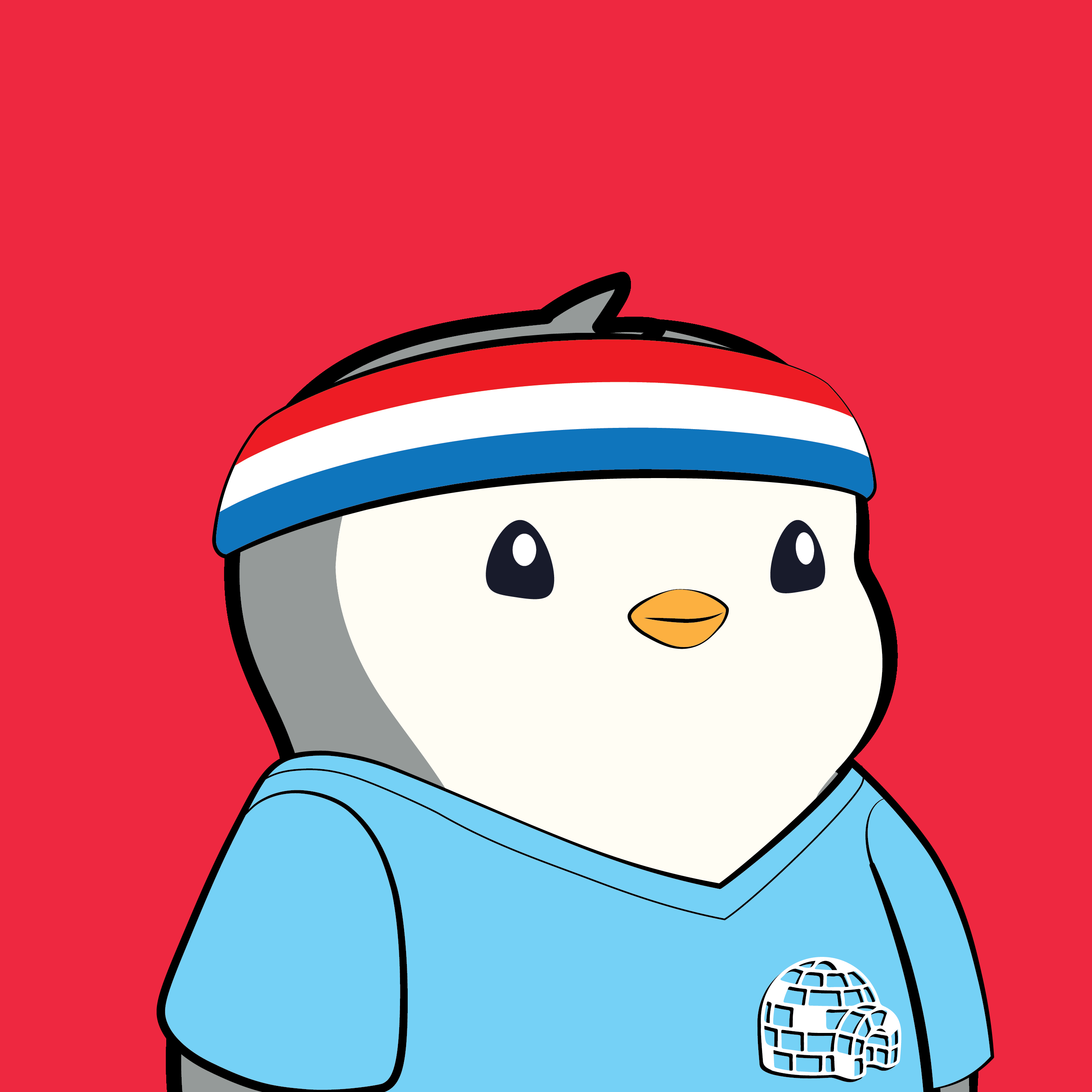 Pudgy Penguins #40