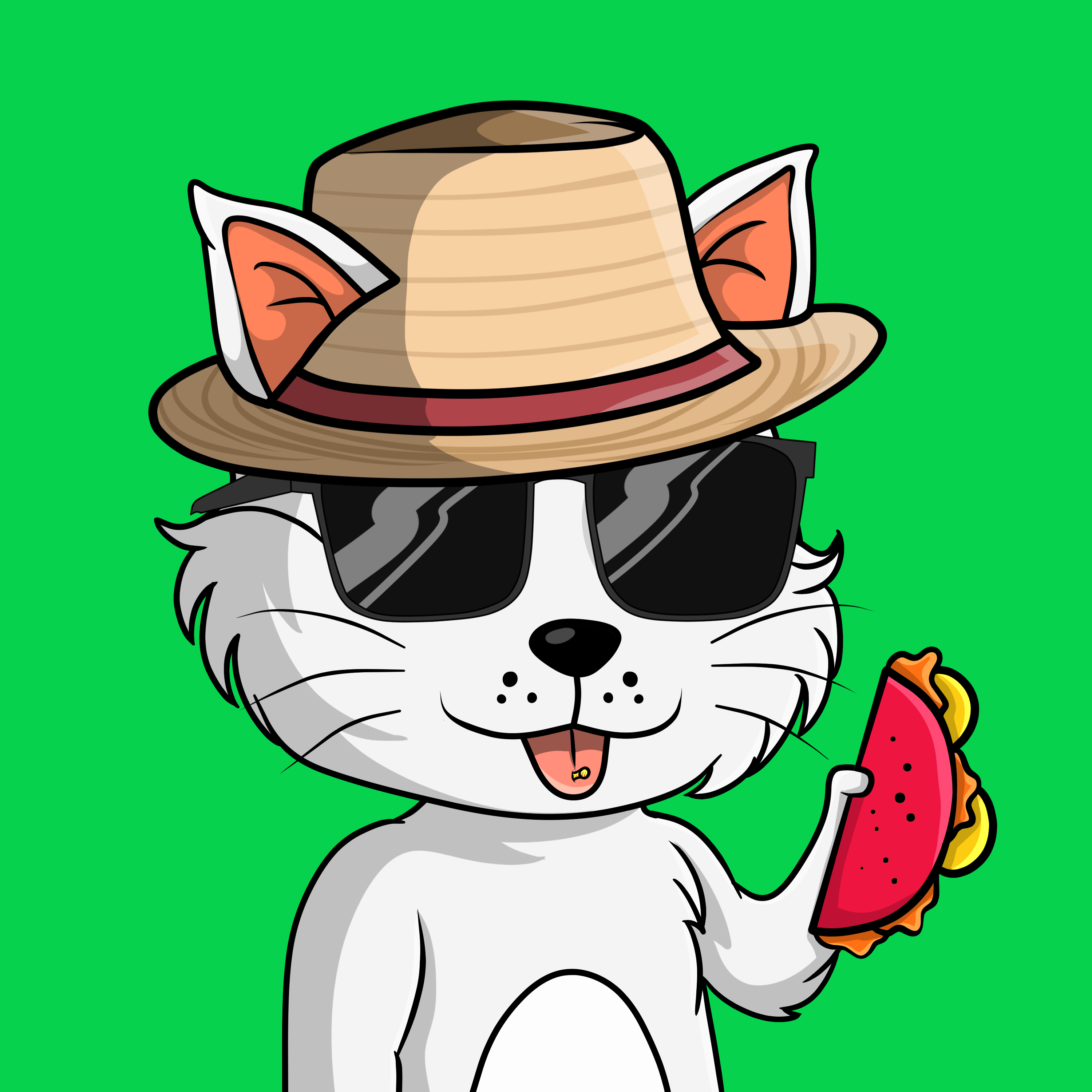 Taco Gato #4040