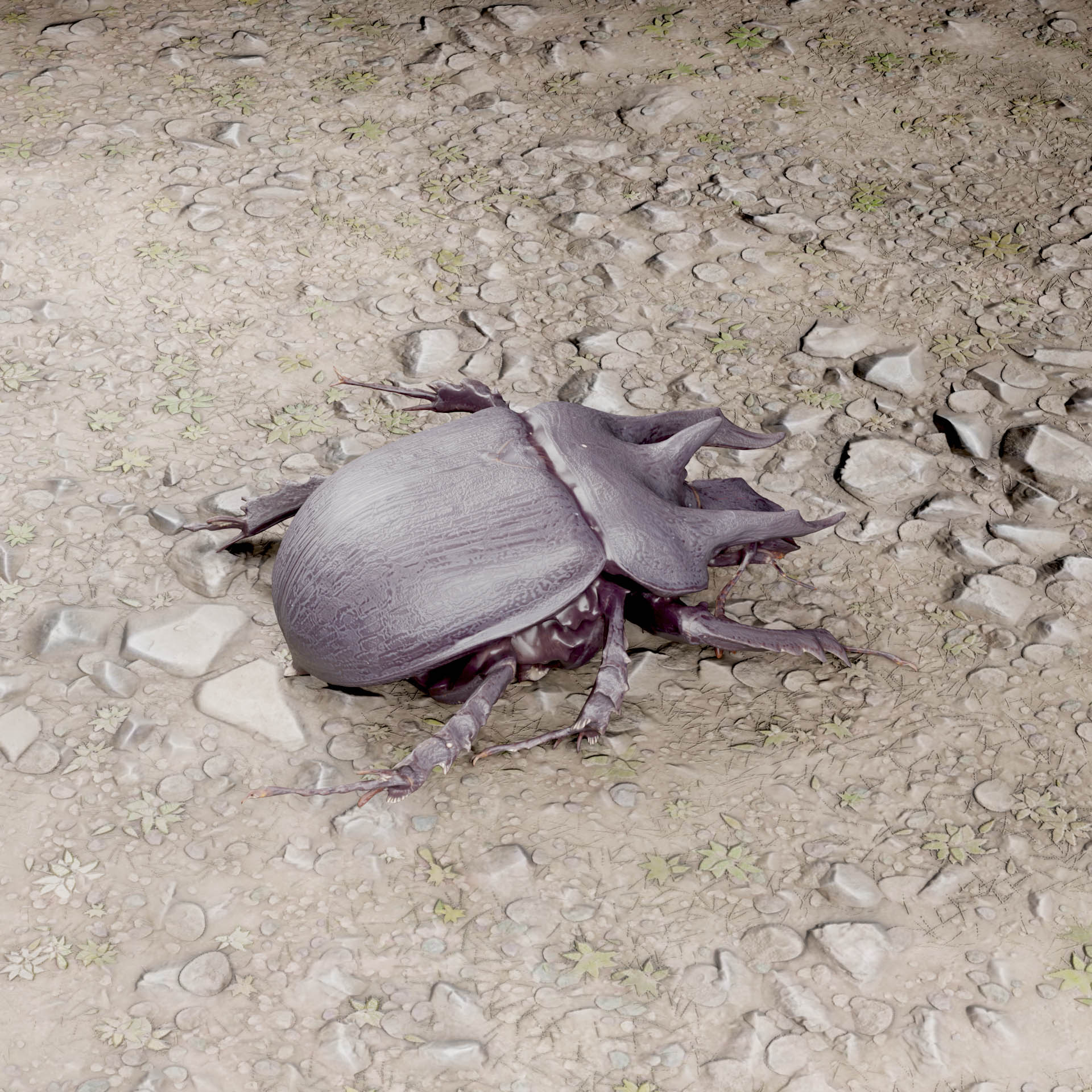 INGREDIENT: MINOTAUR BEETLE 