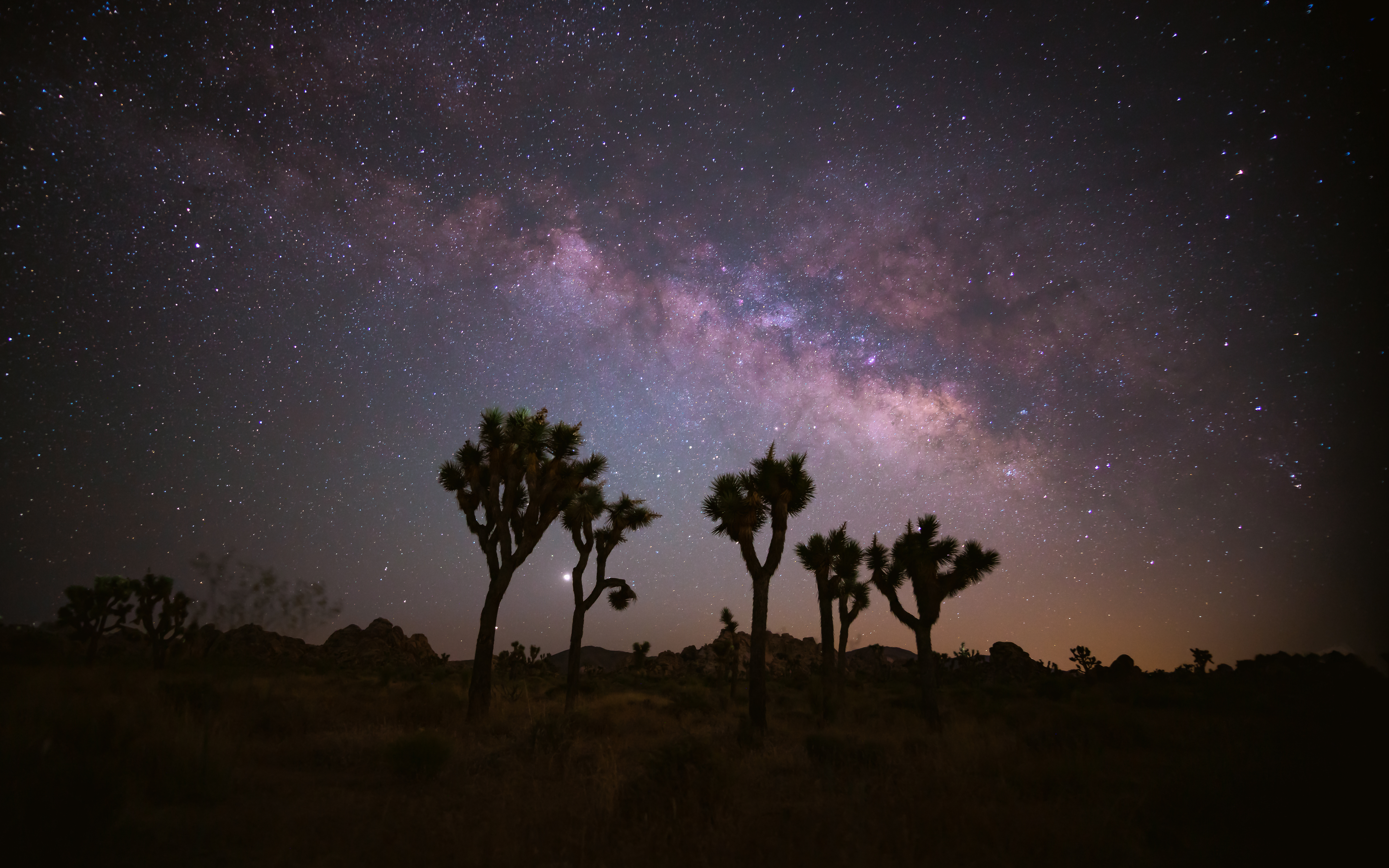 Star Light