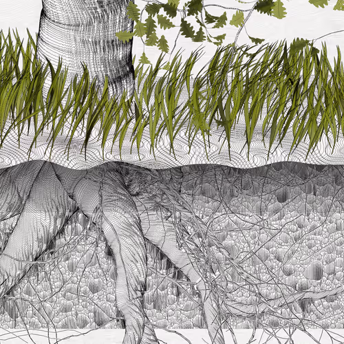 The Oak Tree part #0,-1