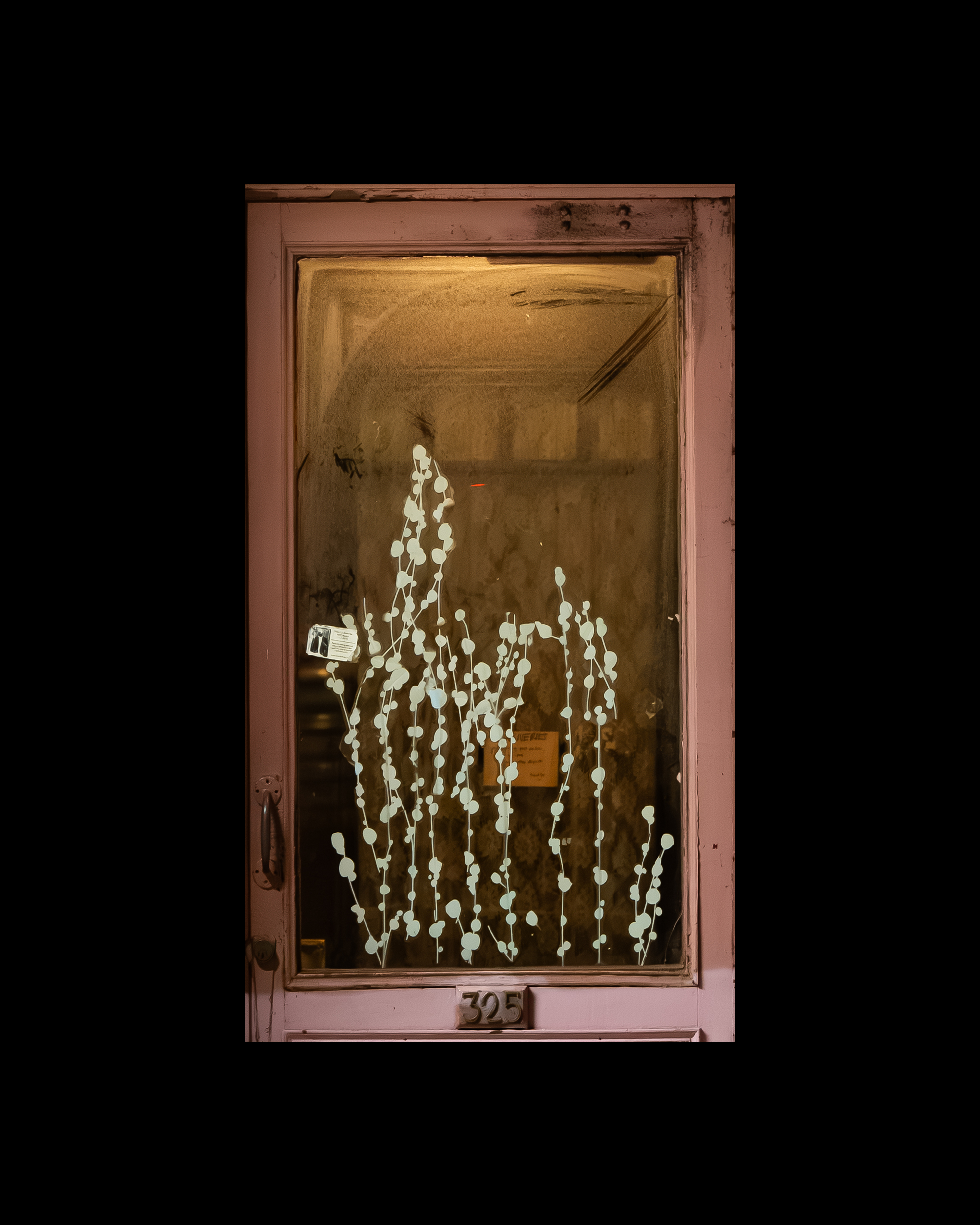WINDOW 365
