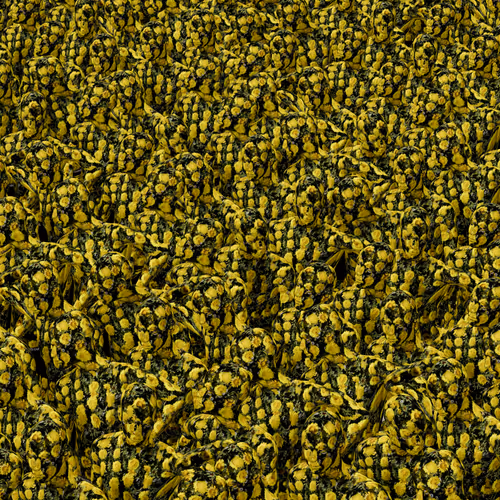 Mannys Crowd #1331
