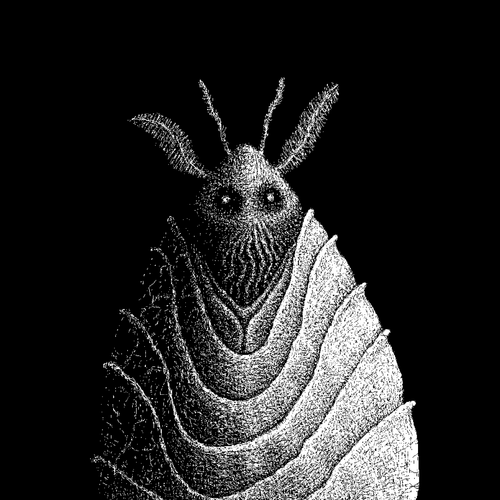 Winter Ascendant