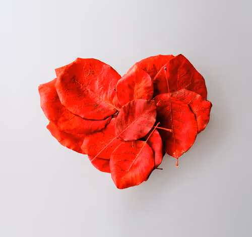 Fall in Love