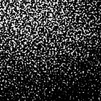 Noise #972 