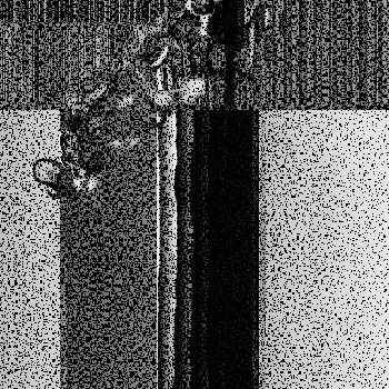 Noise #625 