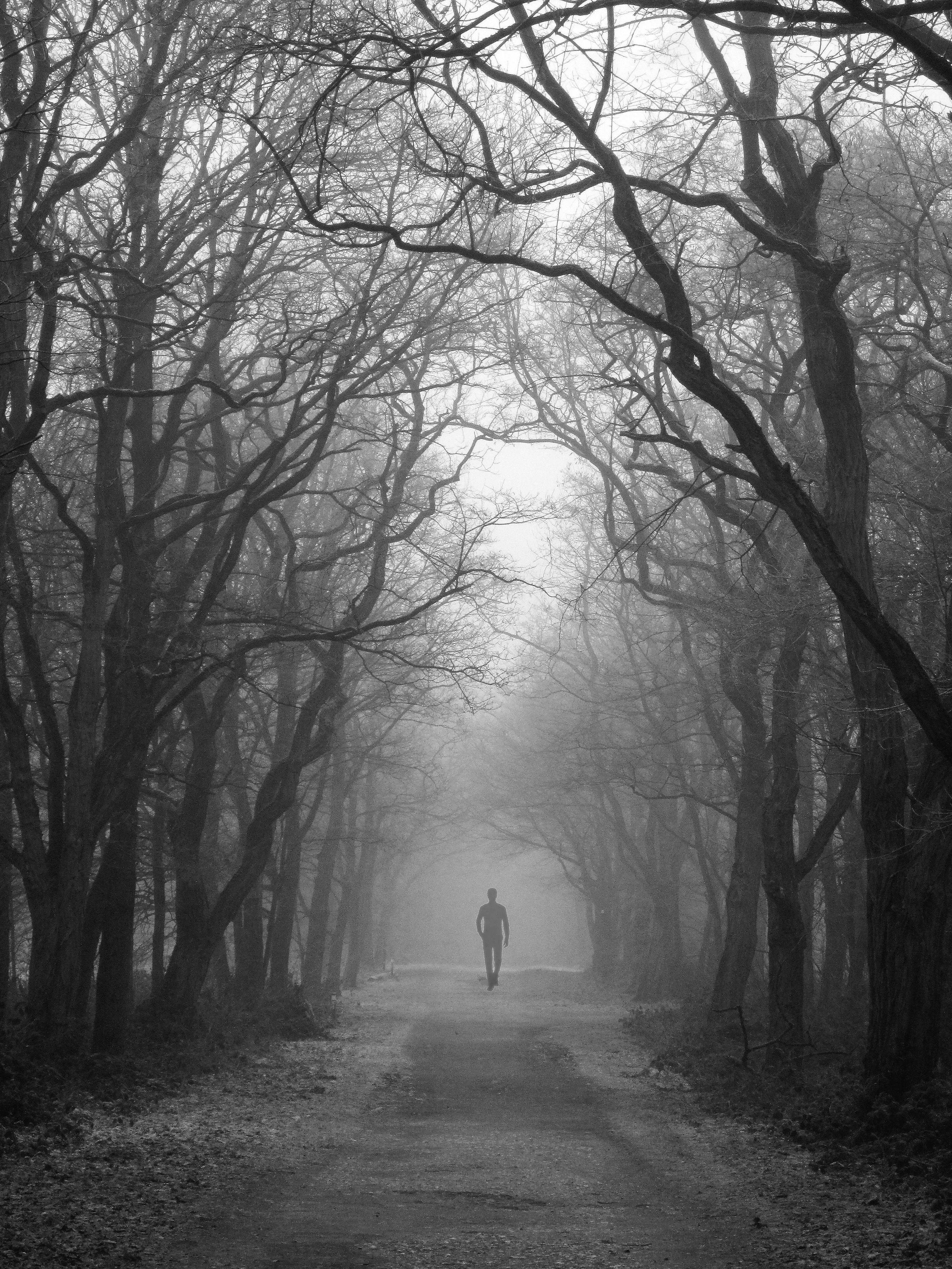 Journey