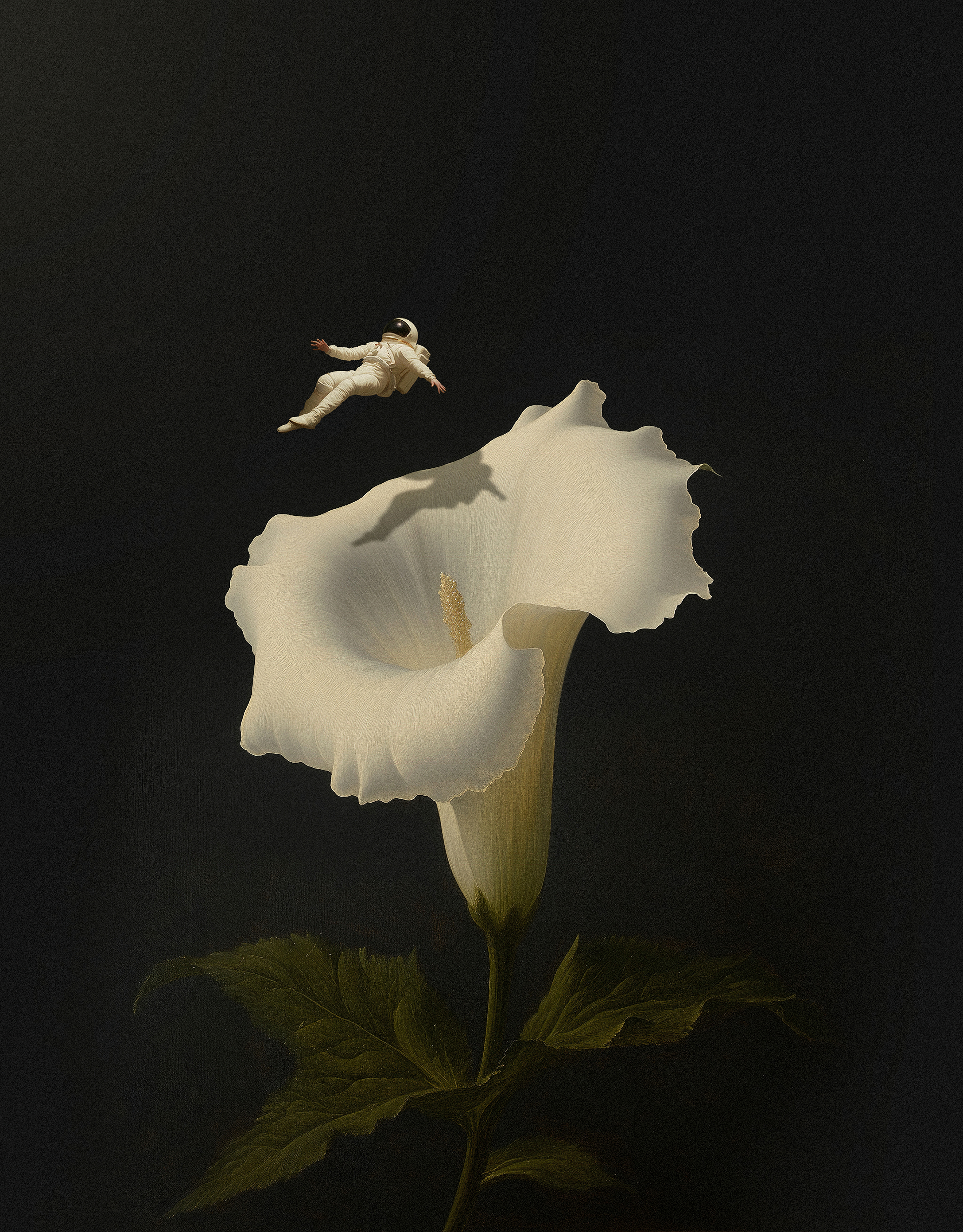 Botanica