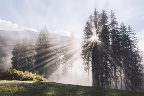 the warmth