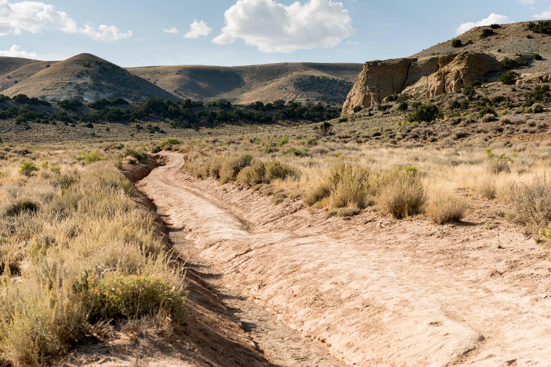Rough Road Ahead