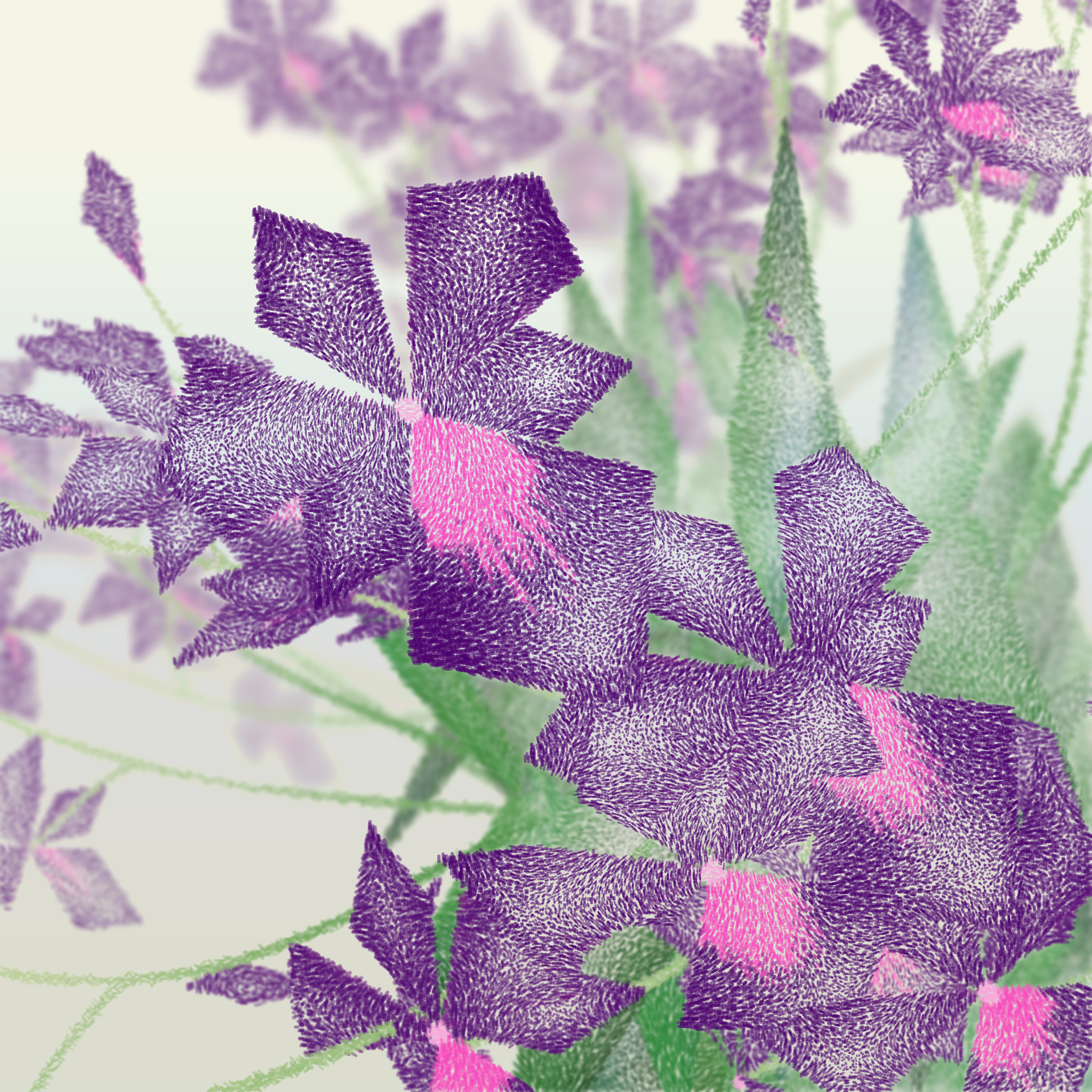Cattleya #65