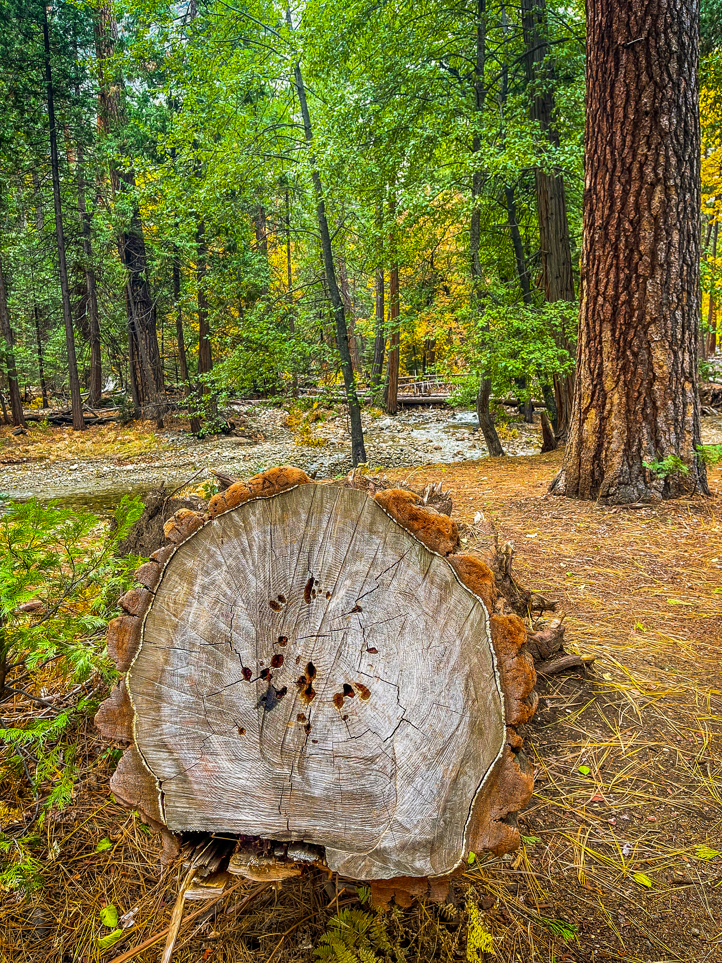 Log Update