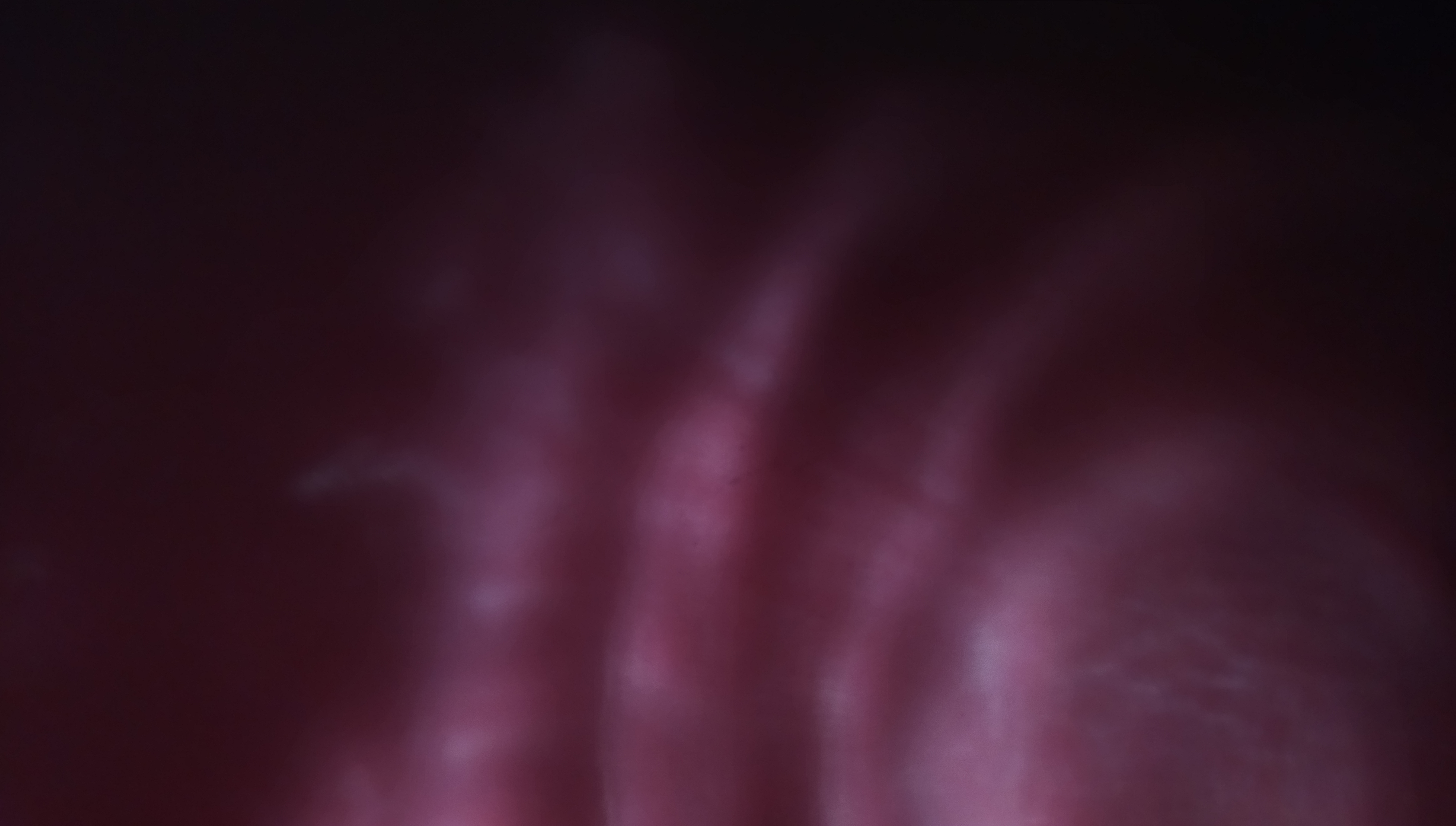 Portal #1