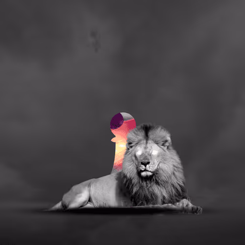 #79