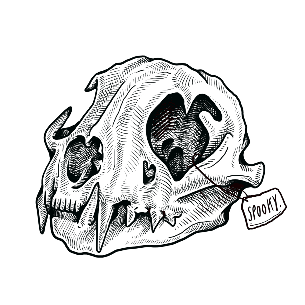 SPOOKY-SKULL