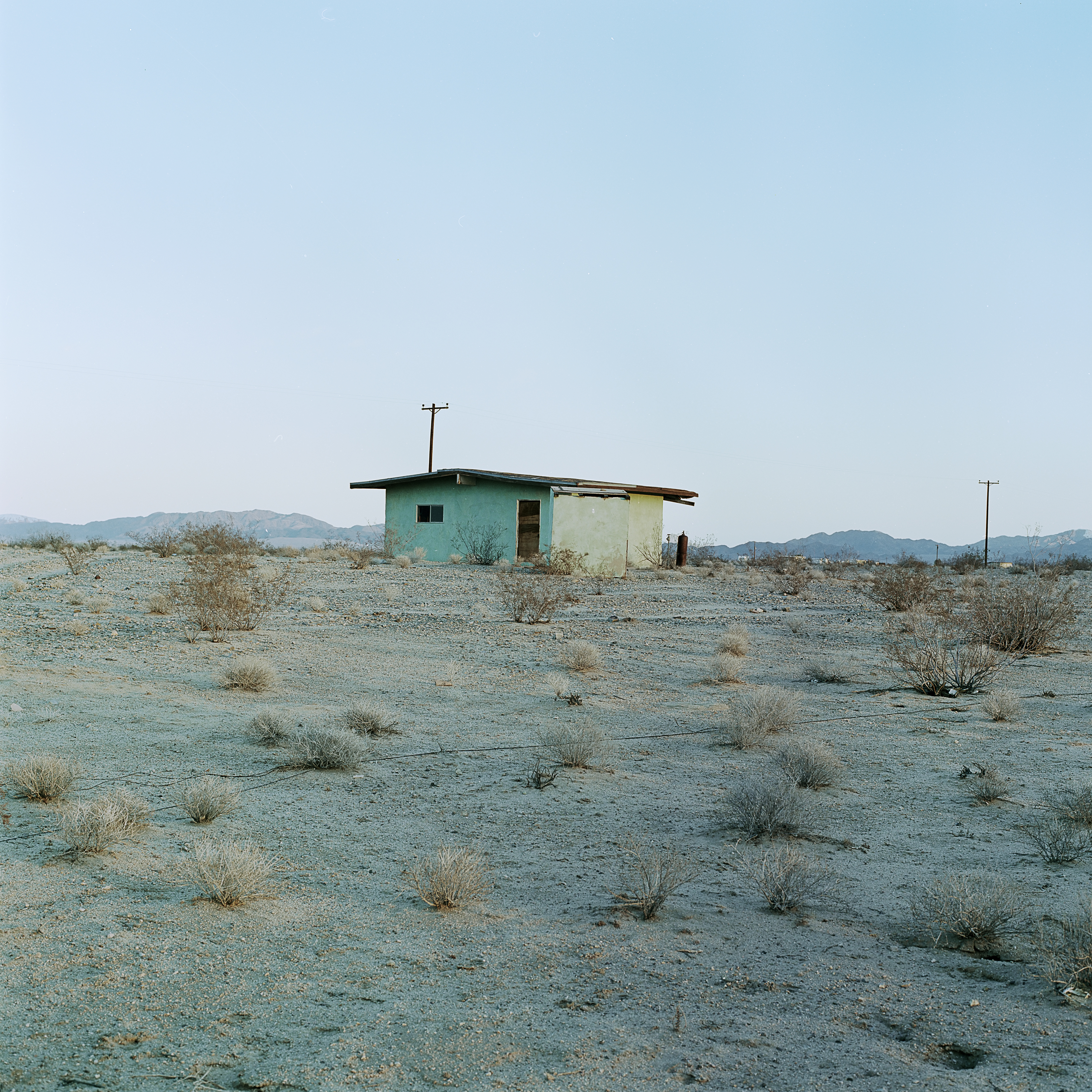 Untitled (Green House - telephone poles)