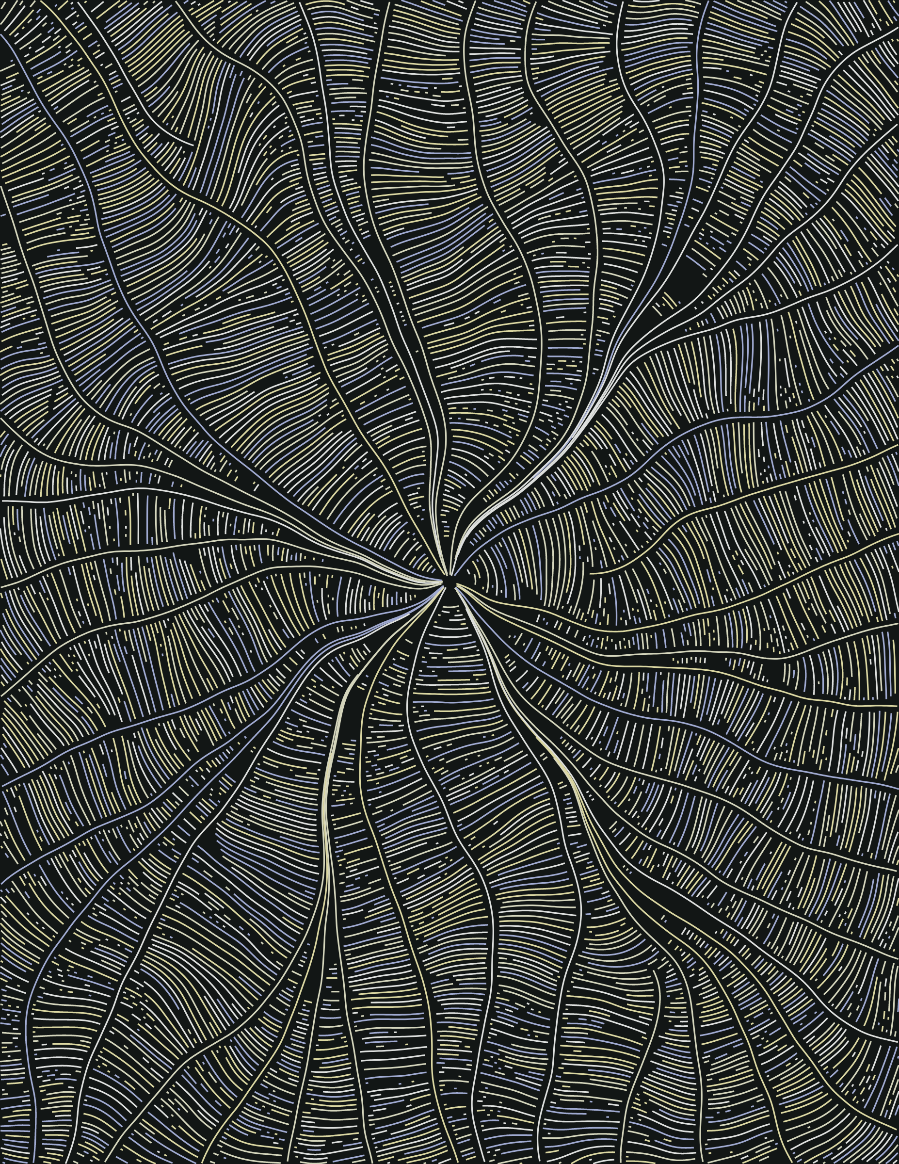 Streamlines #104