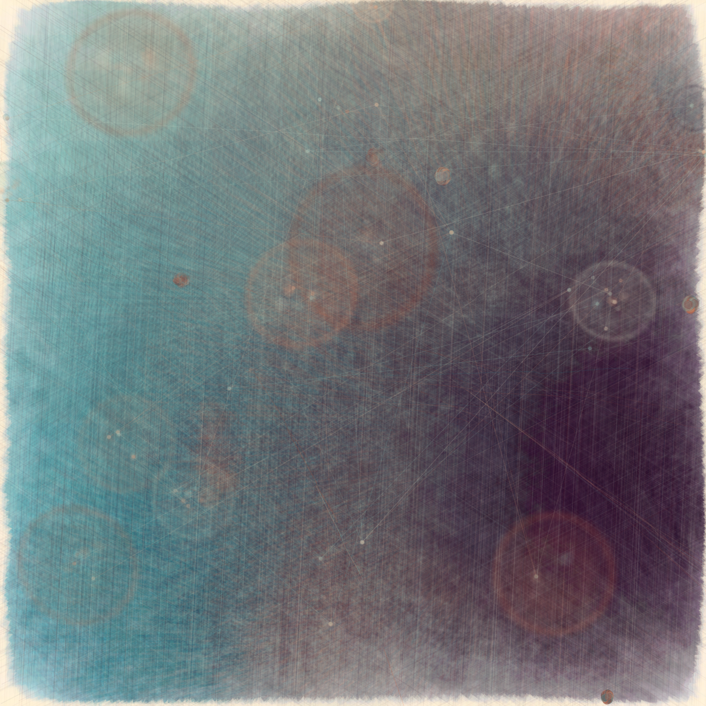 Reticulum