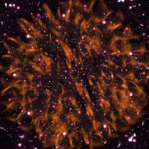 Cosmic Bloom #1217