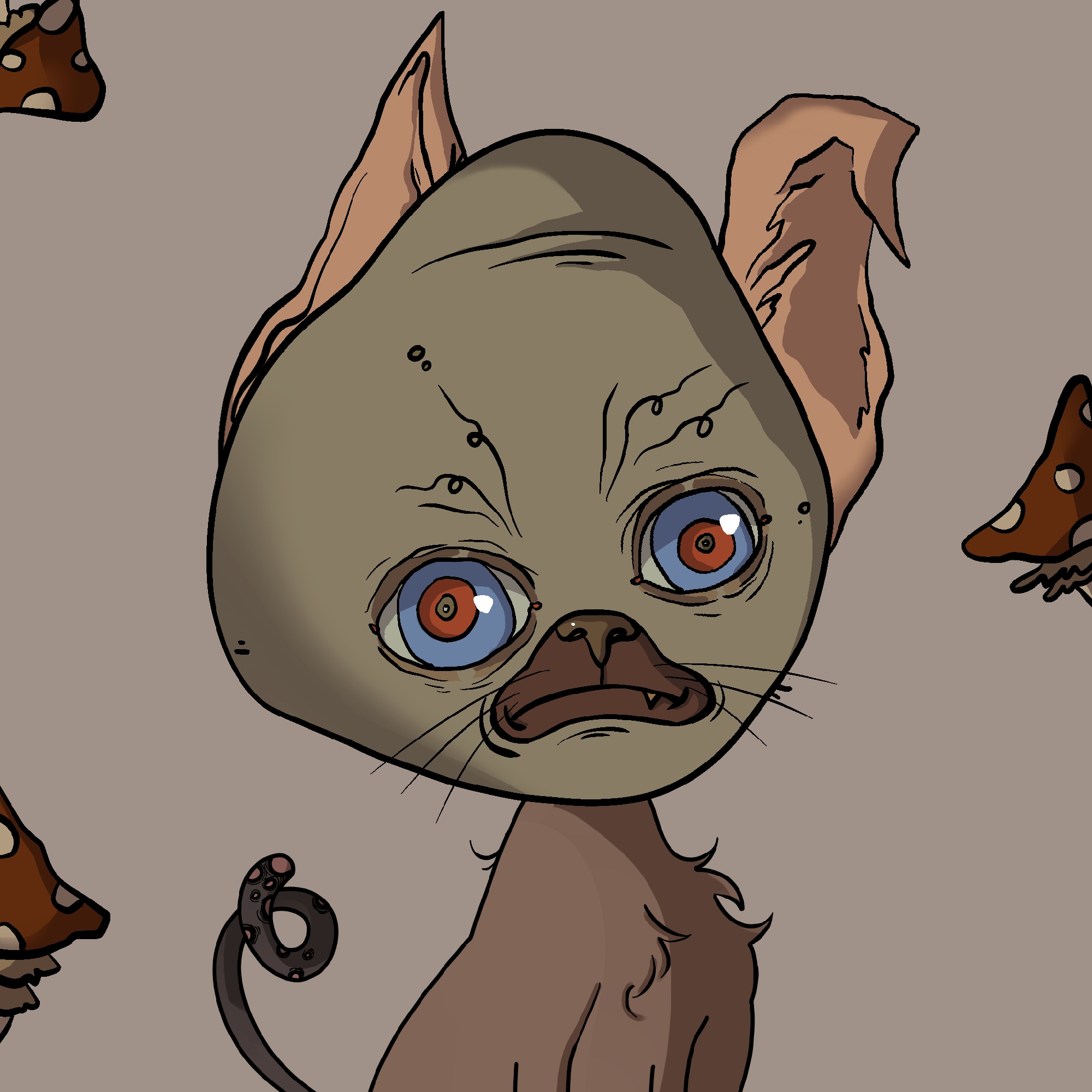 #593