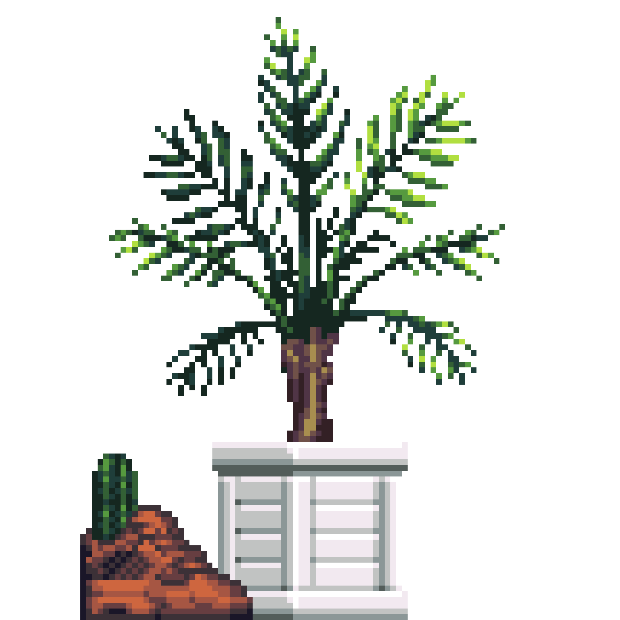 Areca Palm in Wood Crate pot with Mini Sneaker Planter