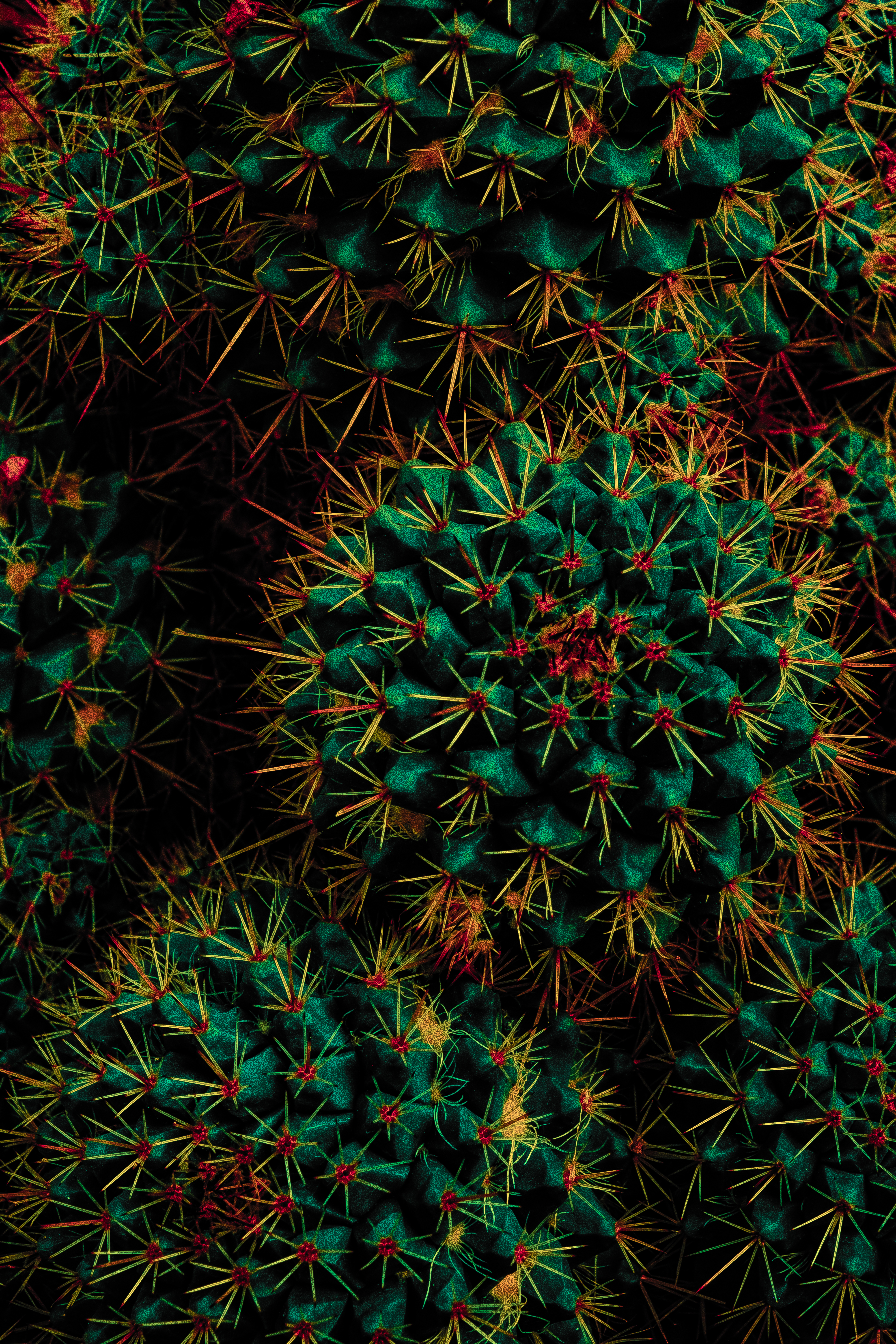 Spiky balls