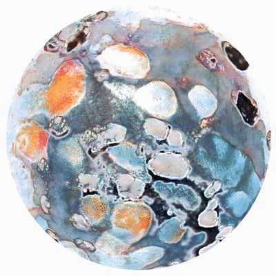 Primordius Quintus