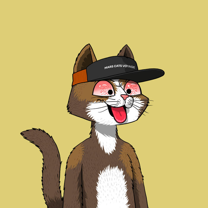 Mars Cat #9894